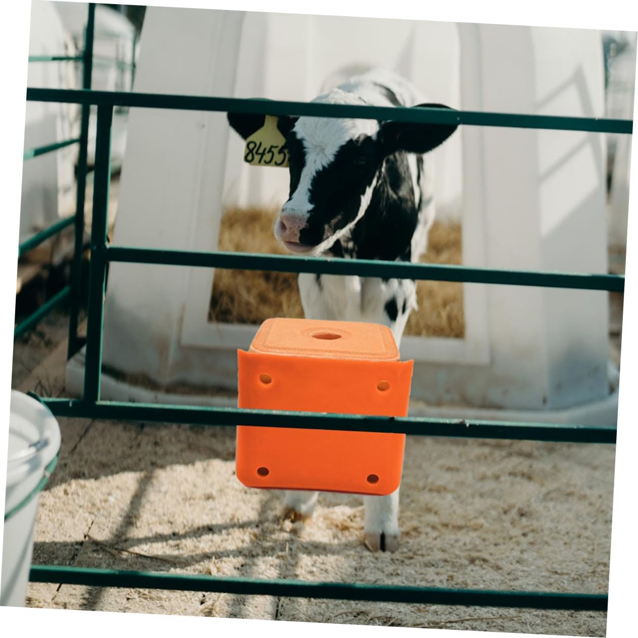 CAXUSD 2Pcs Thickened Salt Block Holders for Livestock Mixed Style Sheep Salt Lick Feeding Boxes with Lid and Spoon Durable Salt Containers for Cattle and Horses