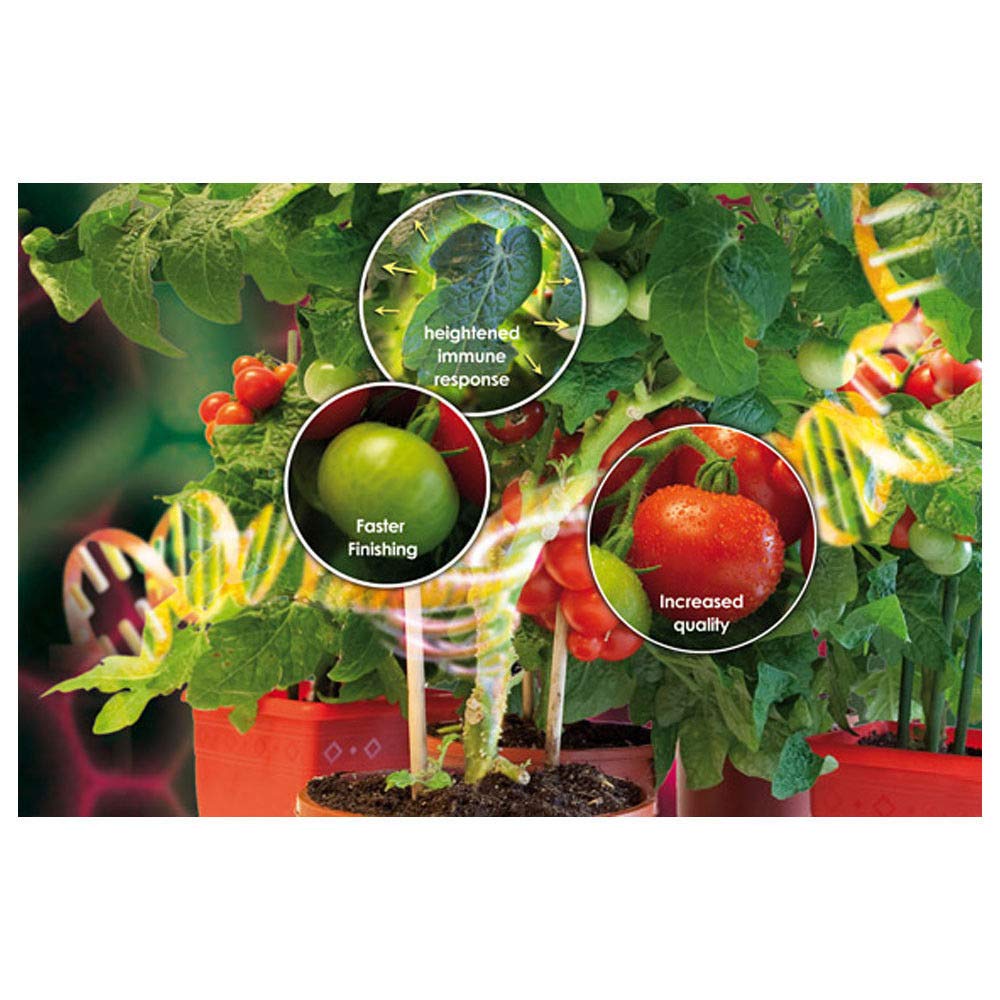 Canna Boost Accelerator 5 litres - NA0181BF