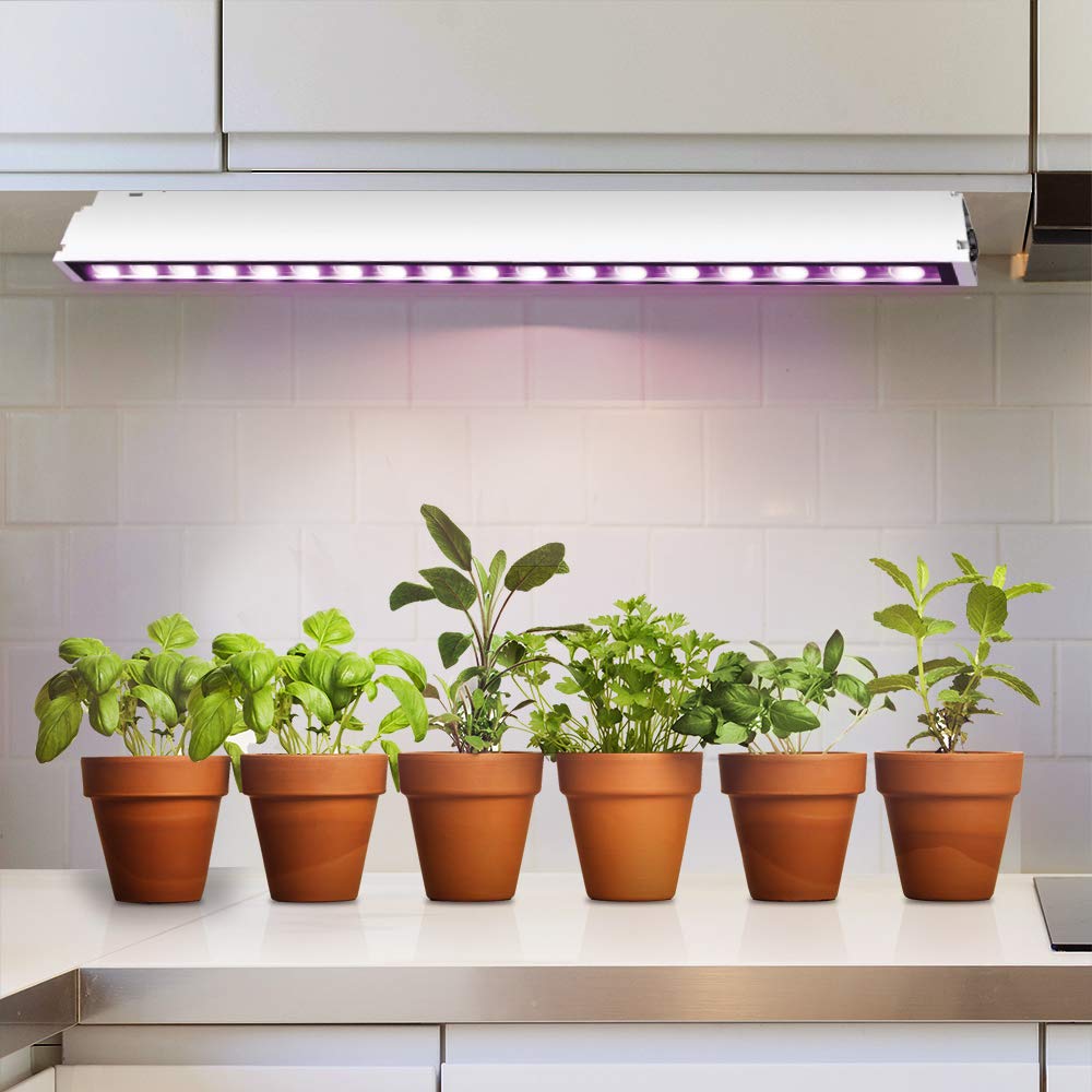 Feit Electric 48 Inch 240 Watt Full Spectrum LED Plant Grow Light, Red-Spectrum Enriched for Budding and Flowering, 4 Foot Long