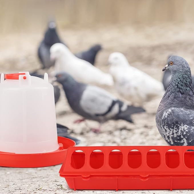 6 Pack Chick Feeder Waterer Hanging Poultry Feeder Kit for Pigeon, Chick, Duckling, Quail (1 L)