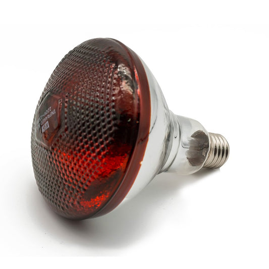 Fengrun Infrared Heat Lamp Waterproof Anti-Explosion Light Bulb for Piglet Chicken Duck Birds(250w,120v)