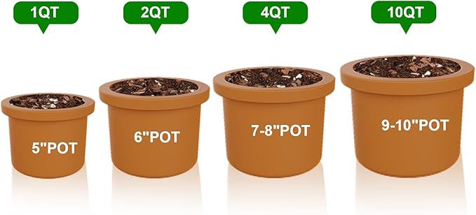 Succulent & Cactus Soil Potting Mix 1qt, Natural Organic Potting Mix for Cactus, Succulent, Palm, and Citrus Grown in Containers Indoors and Outdoors