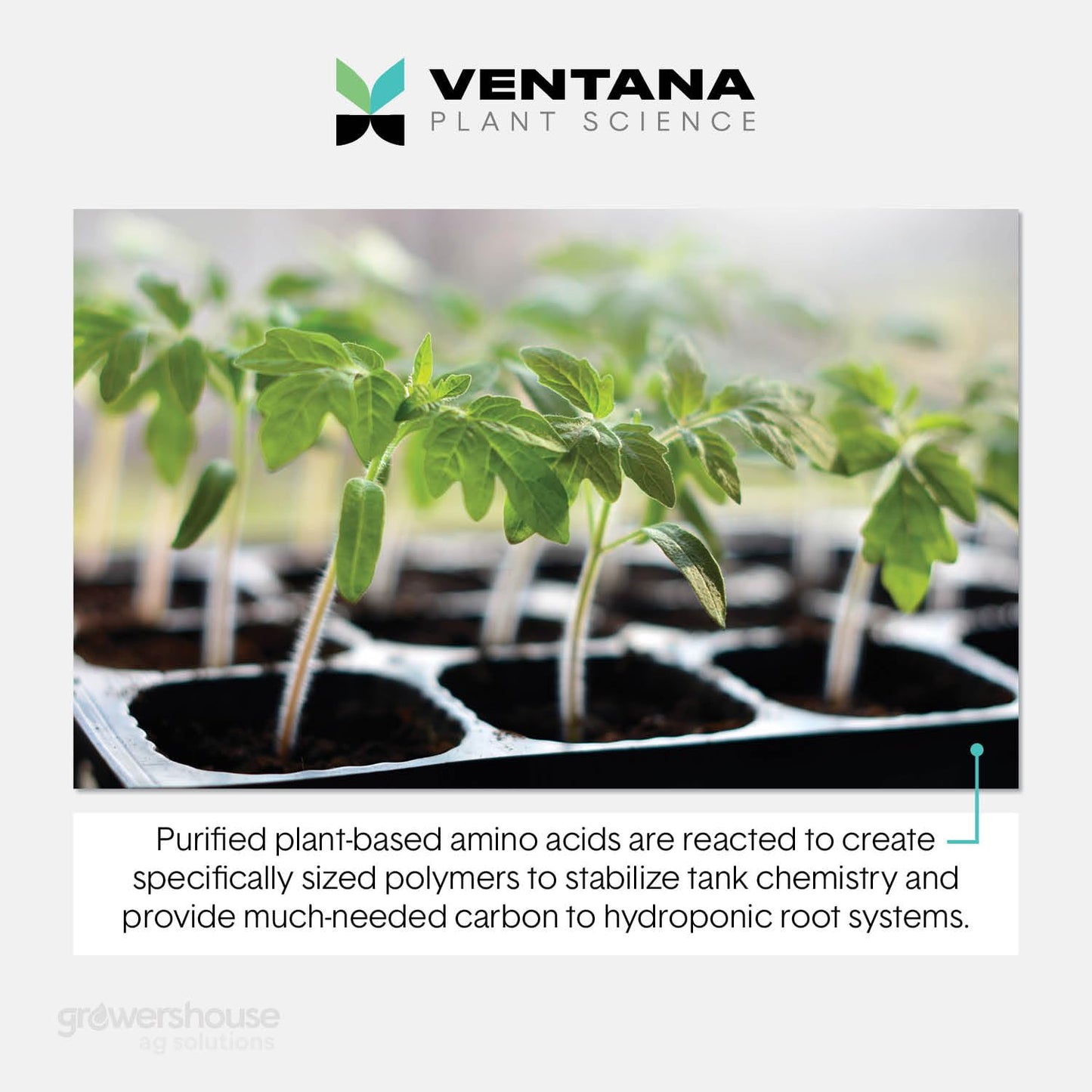 Ventana Plant Science VPS - FlaVUH 4X Concentrate (4-0-4) - 2.5 Gallons