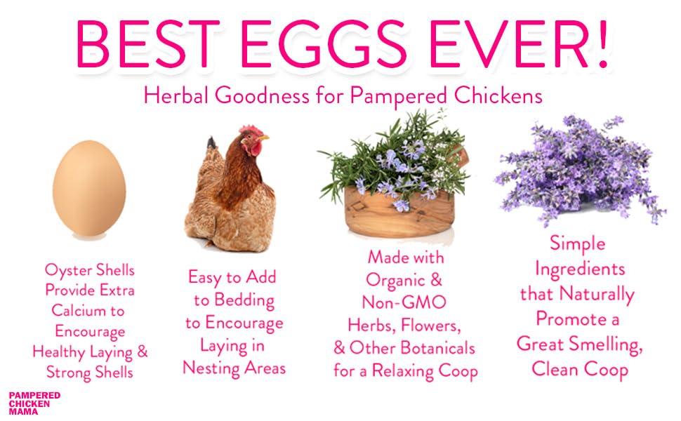 Pampered Chicken Mama Best Eggs Ever! Nesting Herbs for Chickens (10 Ounces) Calcium Supplement for Chickens | Chicken Feed Supplies, Hen Treats for Coops