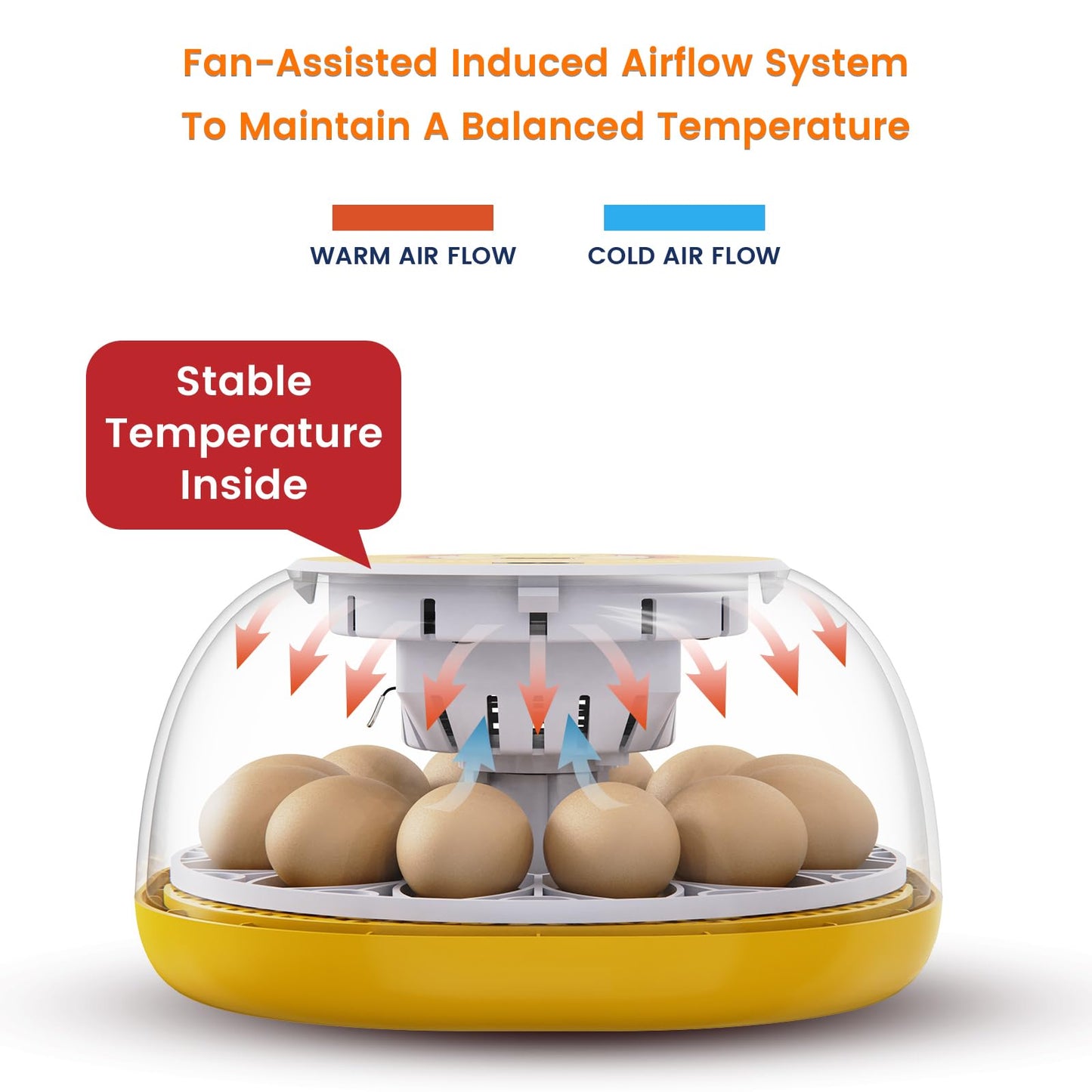 TRIOCOTTAGE 12 Clear Egg Hatching Incubator with Automatic Egg Turning and Auto Water Replenishment for Chicken Eggs and Quail Egg (Eco-Friendly Packaging)