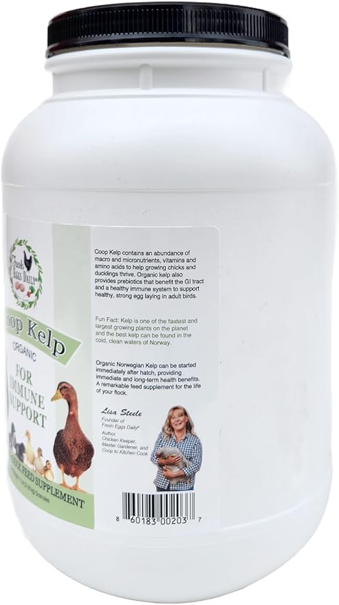 Fresh Eggs Daily Coop Kelp Organic Feed Supplement Vitamins for Backyard Chickens and Ducks 7LB