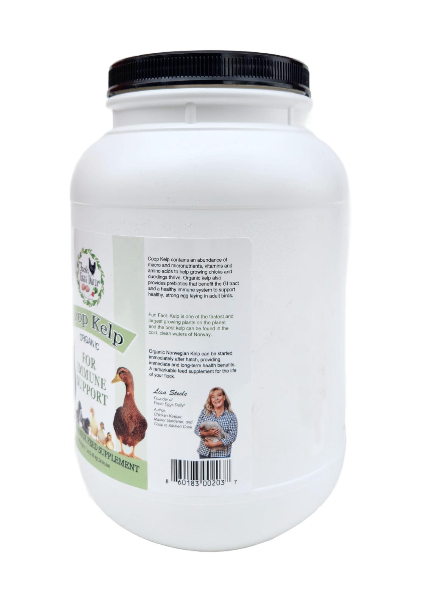 Fresh Eggs Daily Coop Kelp Organic Feed Supplement Vitamins for Backyard Chickens and Ducks 7LB