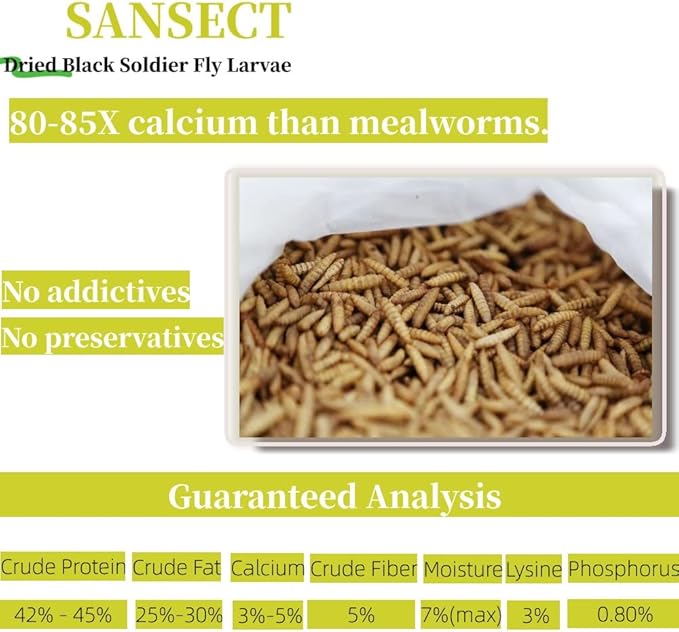 5LB Dried Black Soldier Fly Larvae, 100% Natural Non-GMO Chicken Feed, More Calcium Than Dried Mealworms, High Protein Chickens Treats for Laying Hen, Wild Birds, Ducks