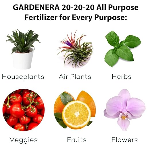 𝐁𝐄𝐒𝐓𝐒𝐄𝐋𝐋𝐄𝐑 20-20-20 Water-Soluble Fertilizer – Powder for Liquid Plant Food for Indoor & Outdoor Plants, Orchids, Vegetables, Lawns, Flowers – 20 20 20 Fertilizer [12 OZ]