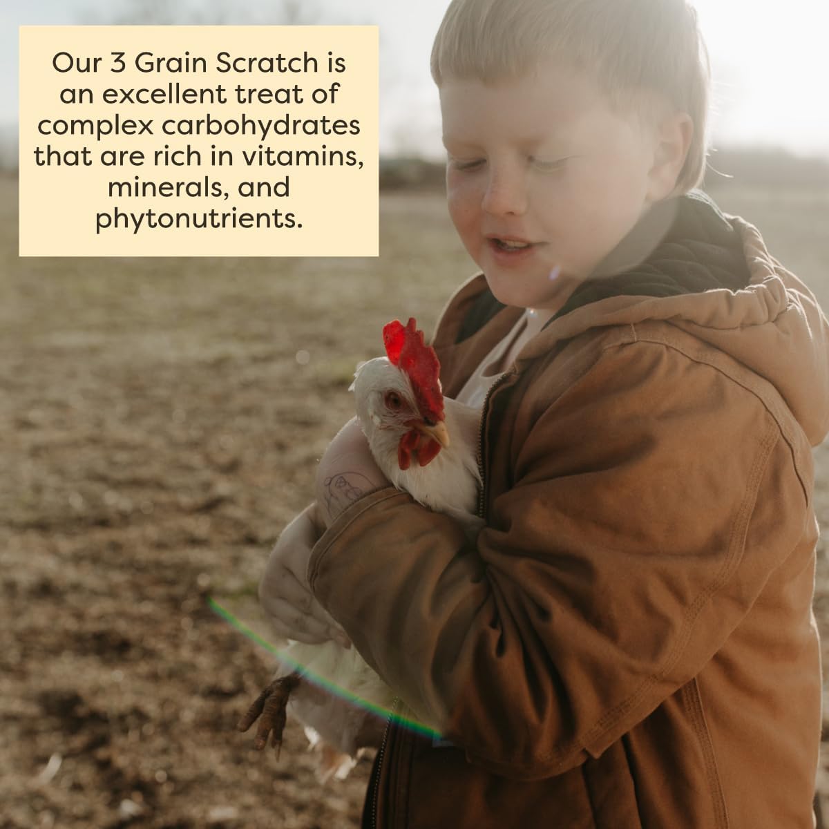 Scratch and Peck 3 Grain Scratch Chicken and Duck Supplemental Grain - 10 lbs Bag - Corn-Free and Soy-Free - 9.8% Protein, Certified Organic and Non-GMO Project Verified Chicken Food