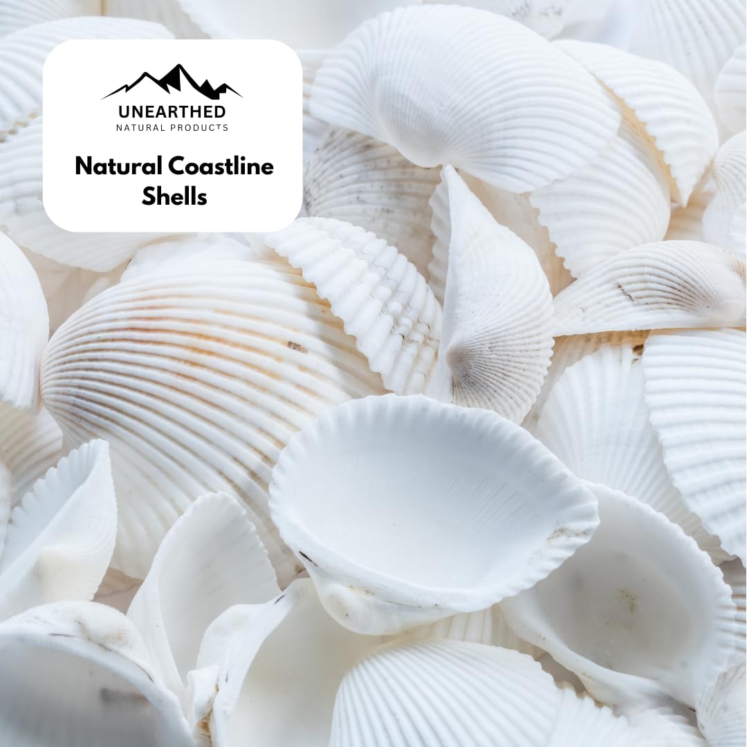 Unearthed Premium Coastline Calcium & Poultry Shells (Oyster Shells) – 10 lb Portable Bag – USA-Sourced, Feed-Grade Calcium Supplement for Strong Eggshells & Healthy Flocks