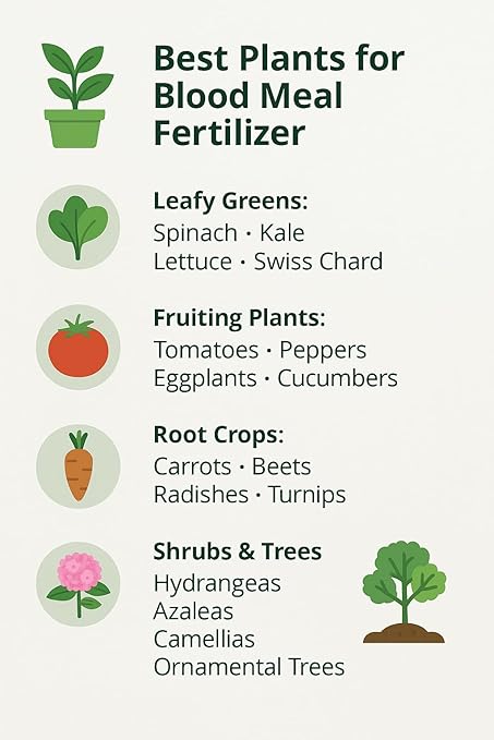 𝐁𝐄𝐒𝐓𝐒𝐄𝐋𝐋𝐄𝐑 Organic Blood Meal Fertilizer by Gardenera - 12-0-0 NPK - All-Natural Plant Food Source of Nitrogen for Organic Gardening, Flowers, Vegetables, Trees & Shrubs - 20 QUARTS