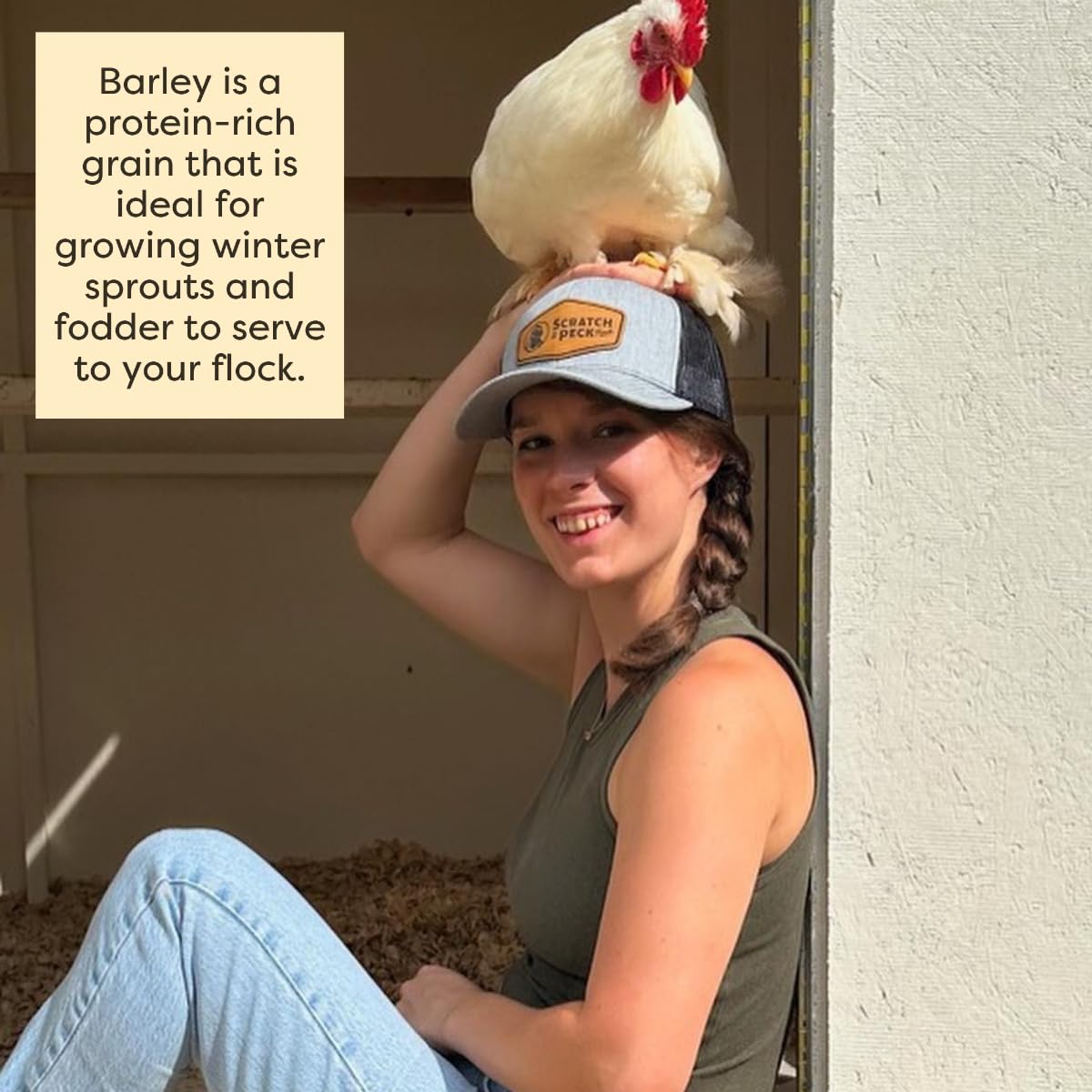 Scratch and Peck Whole Barley Chicken, Duck and Livestock Supplemental Grain - 10 lbs Bag - 8.5% Protein, Certified Organic and Non-GMO Project Verified Chicken Food