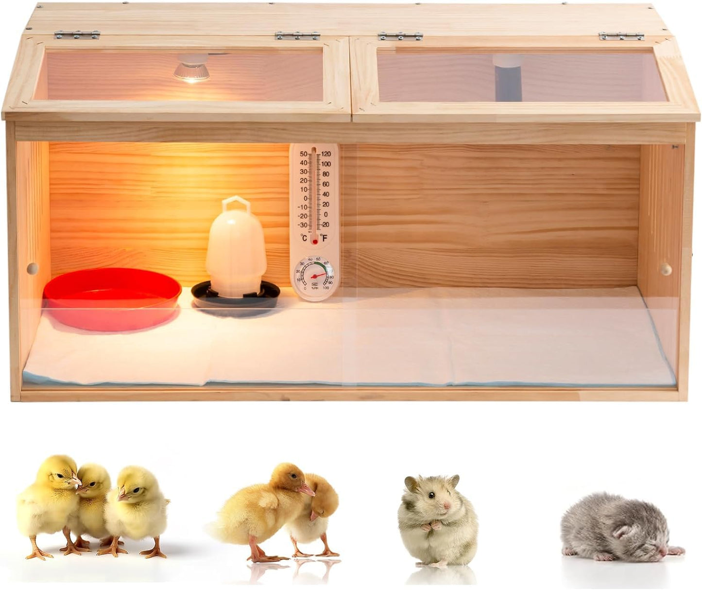 Large Wooden Chicken Brooder Box with Bulb Set and Thermometer - Brooder Box for Chicks Indoor Accommodates Up to 12 Chicks - Ideal for Chickens, Ducks, Quails, Hamsters, and Lizards（32x16x16 Inches）