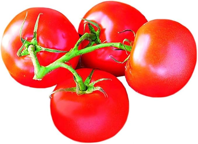 Park Seed Variety of Tomato Seeds, Planting Vegetables, Easy to Grow, Non-GMO, Perfect for Harvesting, Celebrity Hybrid, Pack of 30