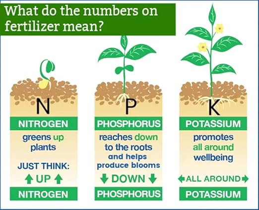 𝐁𝐄𝐒𝐓𝐒𝐄𝐋𝐋𝐄𝐑 20-20-20 Water-Soluble Fertilizer – Powder for Liquid Plant Food for Indoor & Outdoor Plants, Orchids, Vegetables, Lawns, Flowers – 20 20 20 Fertilizer [12 OZ]