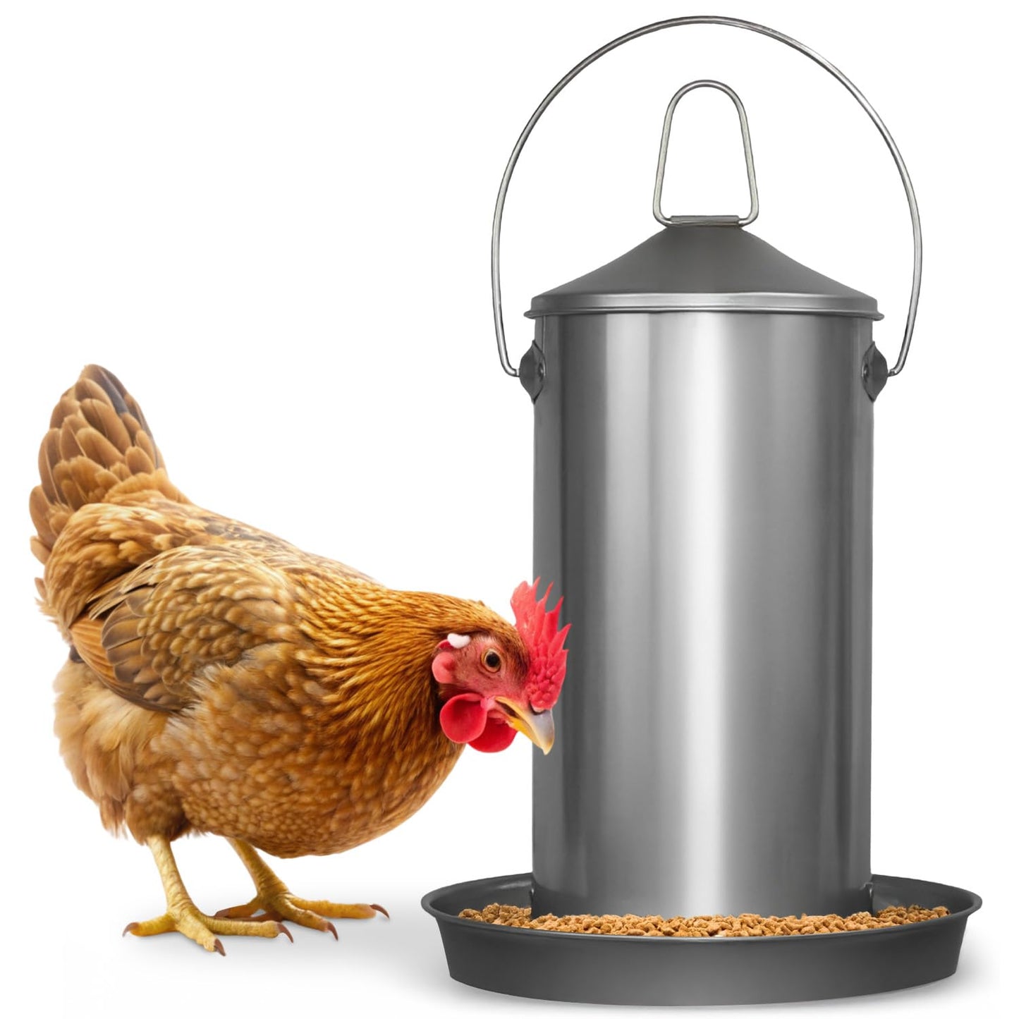 Plexon 8.8 Lb Stainless Steel Hanging Chicken Feeder no Waste Food-Grade - Duck Turkey Poultry Feeder for Chicken Metal - Heavy Duty Reliable Long-Lasting with Handle