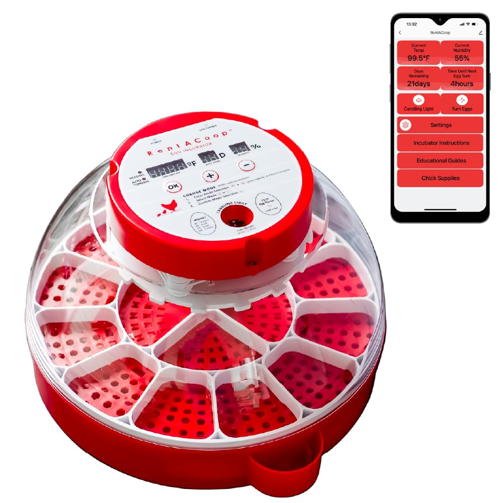 RentACoop 16-Egg Smart Incubator – App Controlled, Auto-Turn, Built in Candeling Light Perfect for Chickens, Ducks, and Quail!