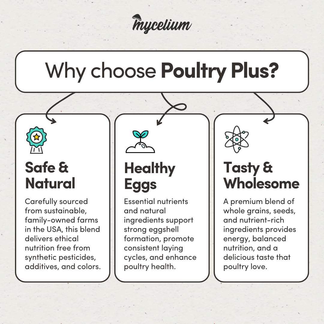 Mycelium Poultry Plus | Premium Chicken, Duck & Turkey Food with Oats, Corn, Wheat, Milo, Safflower & Peas | Supports Egg Production & Feather Health | Made in USA | 5 lb Bag