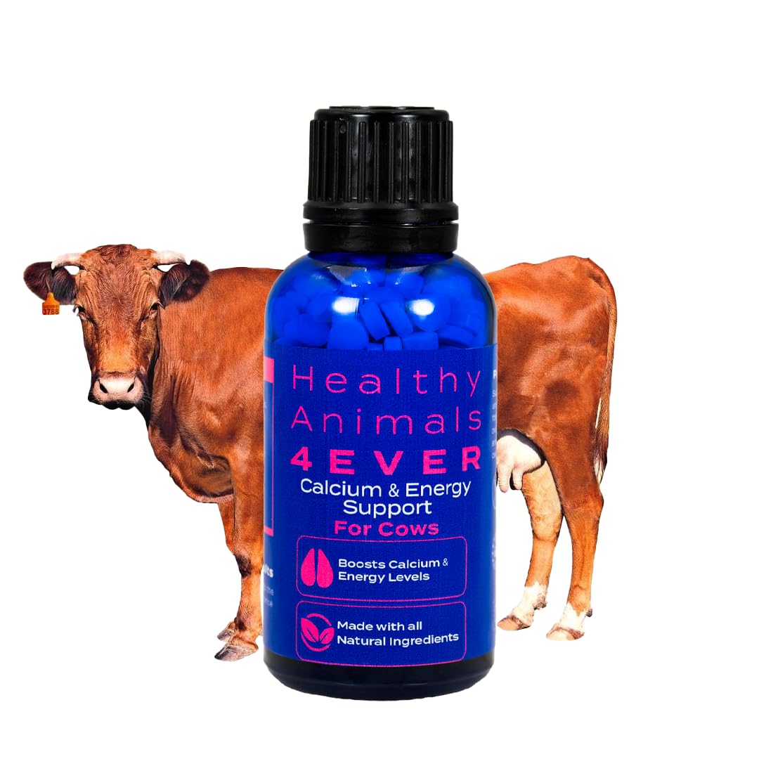 HA4E - Cow Milk Fever Support - Boosts Calcium & Energy Levels and Promotes Vitality & Alertness - All-Natural, Homeopathic Formula - 300+ Tablets