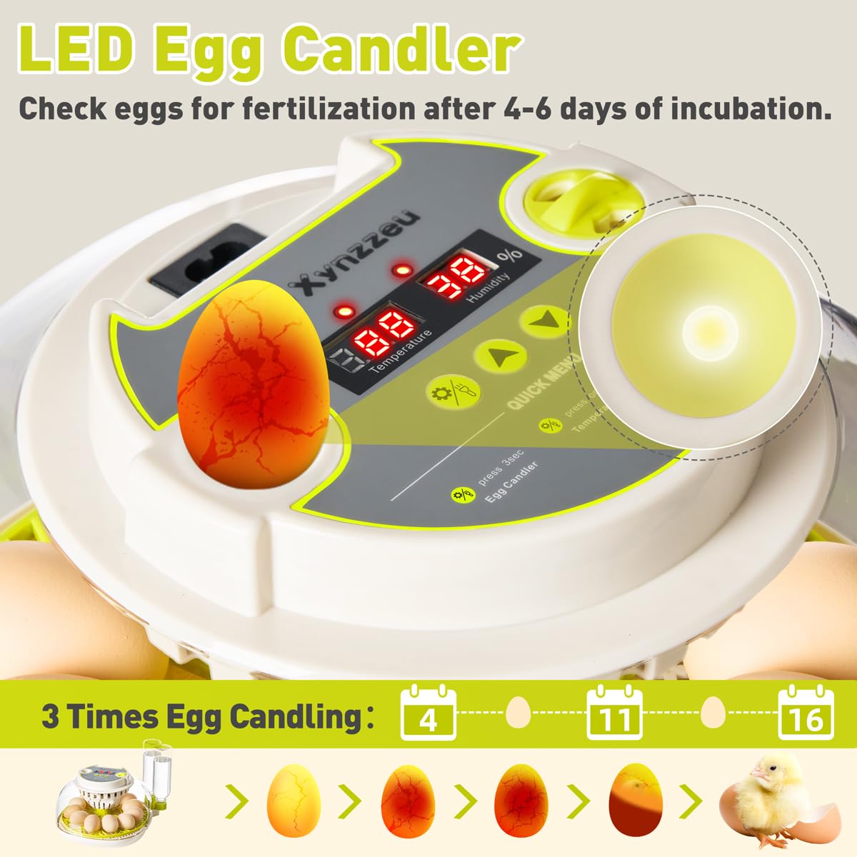 Incubators for Hatching Eggs, 12 Egg Incubator with Automatic Egg Turning and Humidity Control, Incubator for Chicken/Quail/Duck Eggs with Temperature Control/LED Egg Candler, 360 Degree View