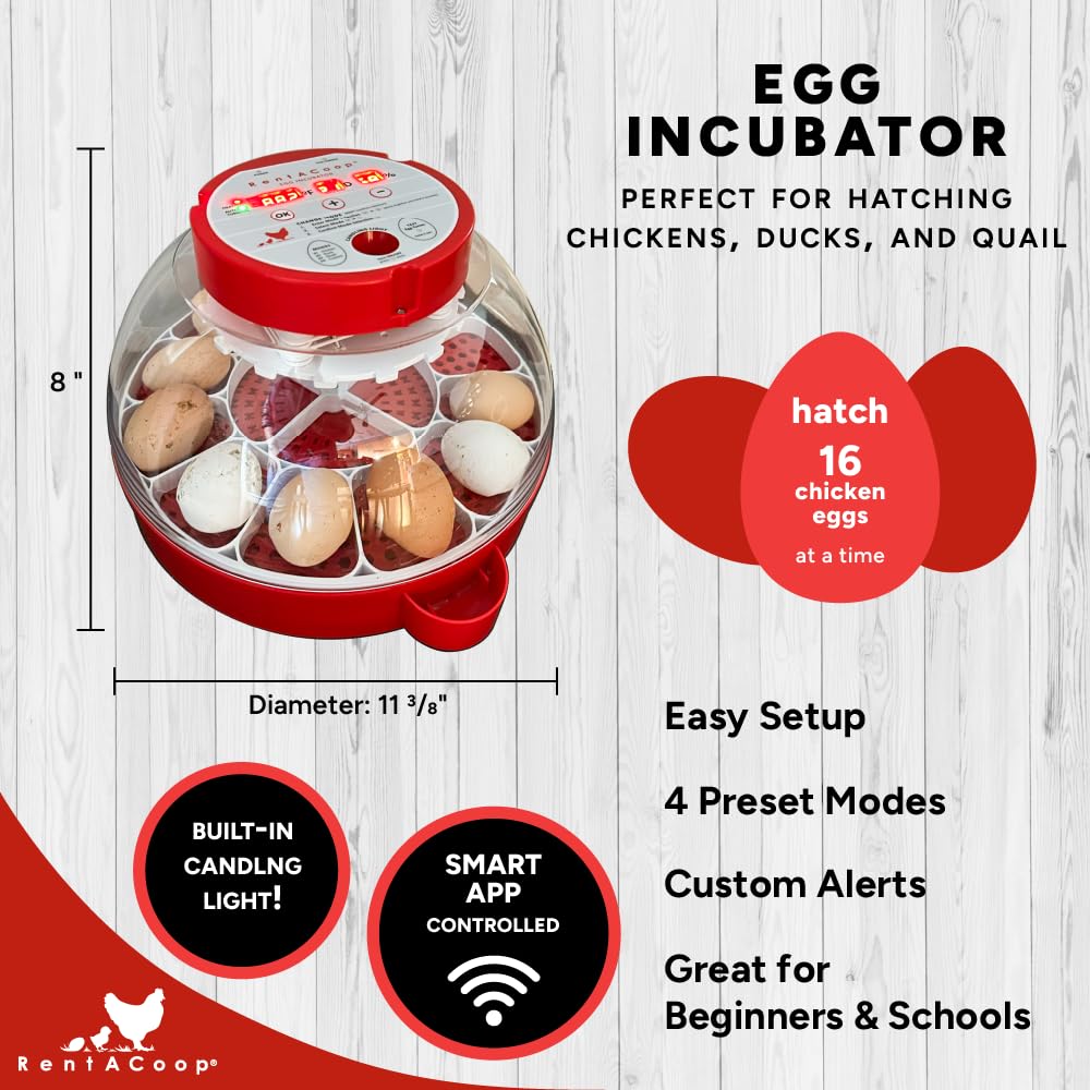 RentACoop 16-Egg Smart Incubator – App Controlled, Auto-Turn, Built in Candeling Light Perfect for Chickens, Ducks, and Quail!