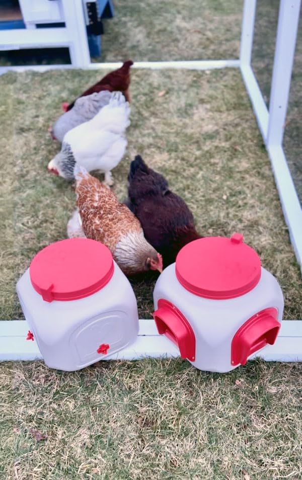 OverEZ Compact Chicken Feeder - Holds 25 Pounds of Feed - Inside or Outside Hen Coop - Large Gravity Fed Automatic Poultry Food Dispenser - No Waste Rainproof Design