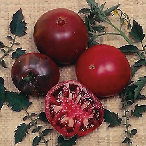 Park Seed Variety of Tomato Seeds, Planting Vegetables, Easy to Grow, Non-GMO, Perfect for Harvesting, Black Krim, Pack of 30