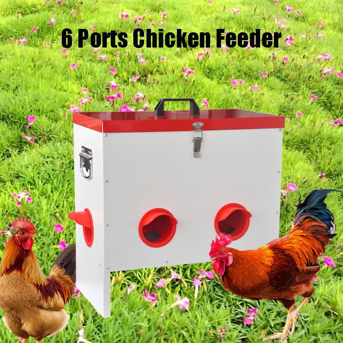 6 Ports Automatic Chicken Feeder Max Capacity 50 Lbs, Metal Gravity Poultry Feeder Hens, Ducks, Geese with Anti-Waste Design, Weather Proof, Reduces Feed Waste (6 Ports)