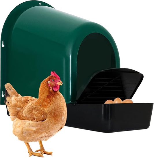Chicken Nesting Boxes 5-Pack - with Roll-Out Egg Collection Trays - Plastic Chicken Laying Box with Perch - Wall-Mountable, Easy Assembly & Cleaning (Green)