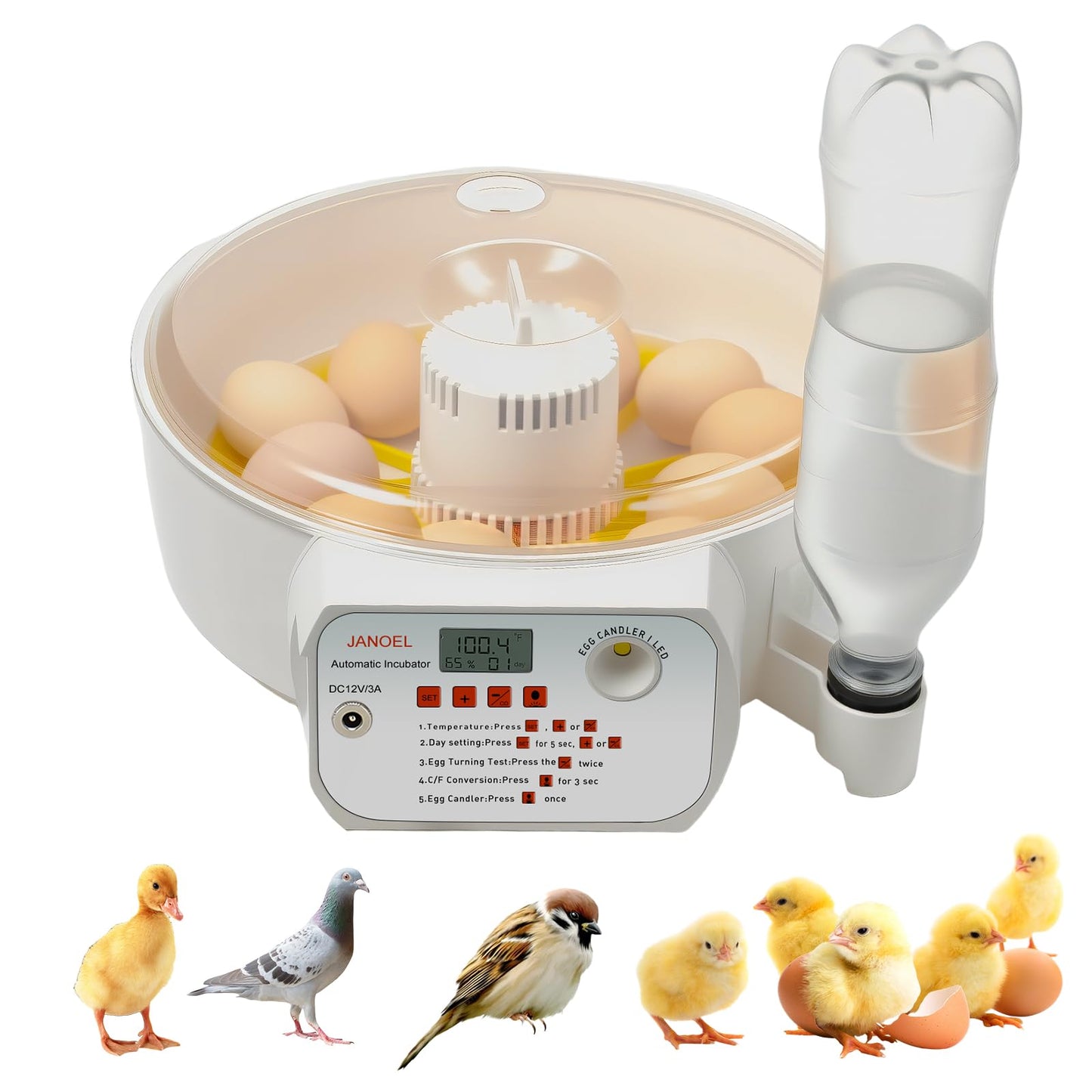 JANOEL Automatic Egg Incubator12-32 Eggs for Hatching Chick,Duck,Goose,Quail & Pigeons with Auto Egg Turnner/Fahrenheit Temperature+Humidity LED Display/Built-in Egg Candler/Perfect for Beginners