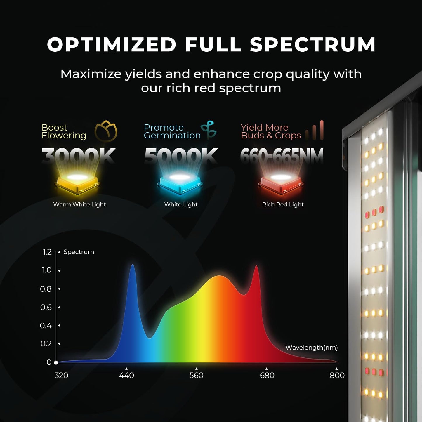 3x3 Smart Grow Tent Kit Complete System with DWC Hydroponics Grow System