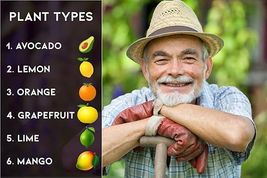 𝐁𝐄𝐒𝐓𝐒𝐄𝐋𝐋𝐄𝐑 6-4-6 Avocado Citrus Tree Plant Food for Outdoor/Indoor Gardening | Quick-Release Nitrogen Fertilizer | Orange, Lime, Avocado and Lemon Tree Fertilizer [16 OZ]