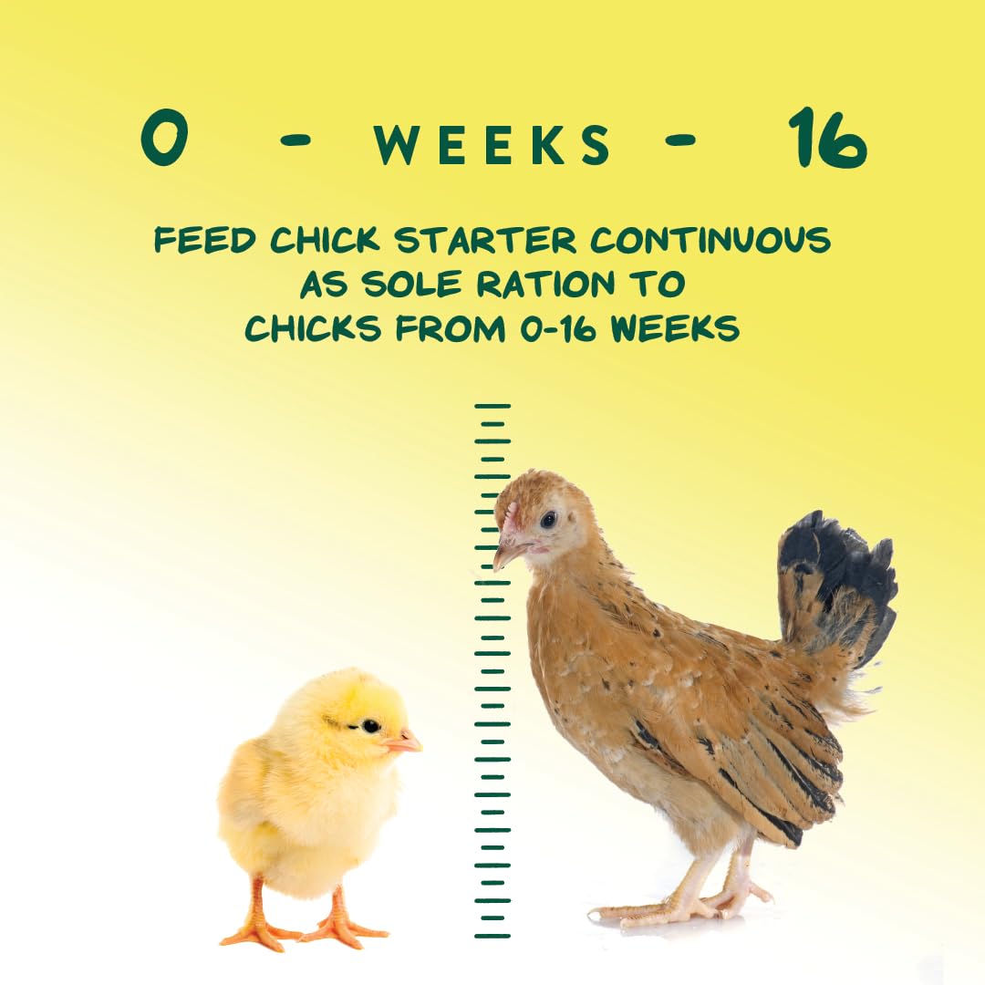 Manna Pro Medicated Chick Starter Grower - Crumbled Chick Feed - Feed for Young Chickens - 6-Pack of 5lbs