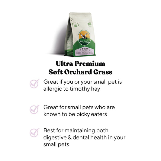 Rabbit Hole Hay - Ultra Premium Soft Orchard Grass for Small Pets - 12 oz Bag - Soft & Nutritious