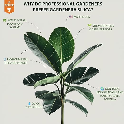 𝐏𝐑𝐄𝐌𝐈𝐔𝐌 Liquid Silica Plant Supplement - 8oz (250mL) - Mandarin Trees Plants Liquid Silica Boost Fertilizer - Stronger Stems & Healthy Leaves for Indoor & Outdoor Mandarins (Makes 45 Gallons)