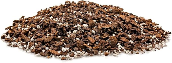 GARDENERA Monstera Borsigiana Soil Mix - Expertly Formulated for Strong Root Development - 2 Quart