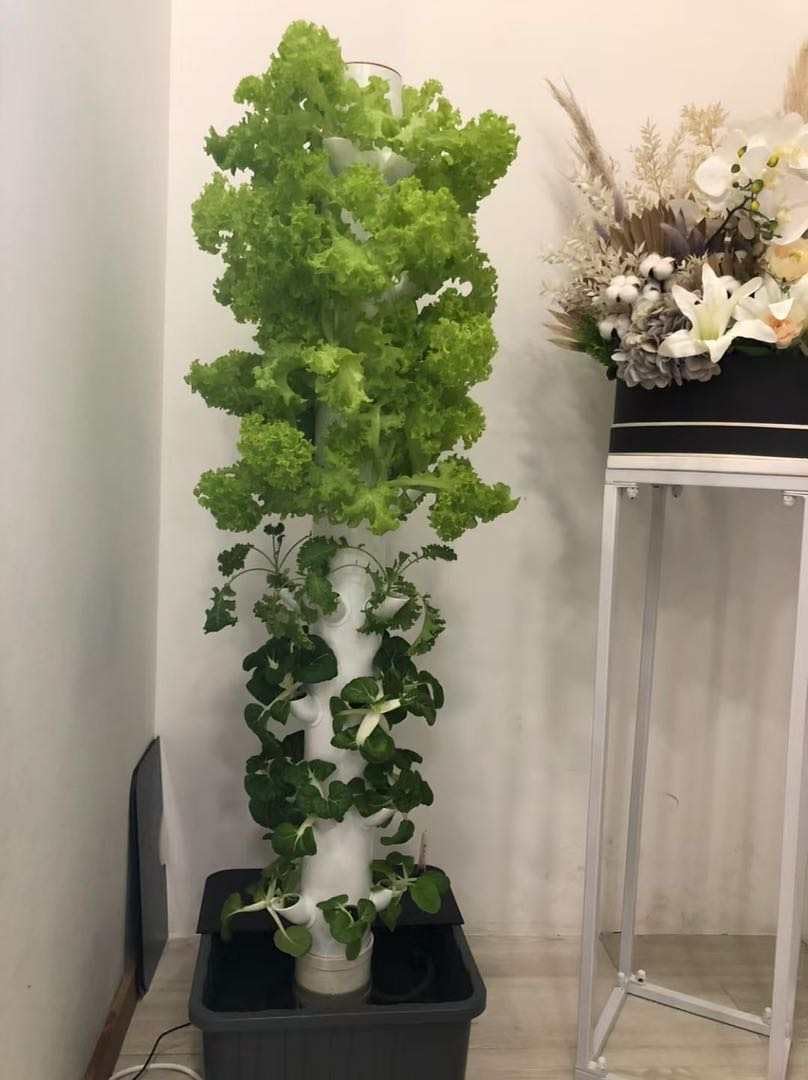 TIRUSS Vertical Hydroponic Grow Tower Aeroponic Tower for Herbs, Fruits and Vegetables 15 Layer 45 Plants Sites with Movable Water Tank Hydrating Pump, Timer, Adapter (45 pots)