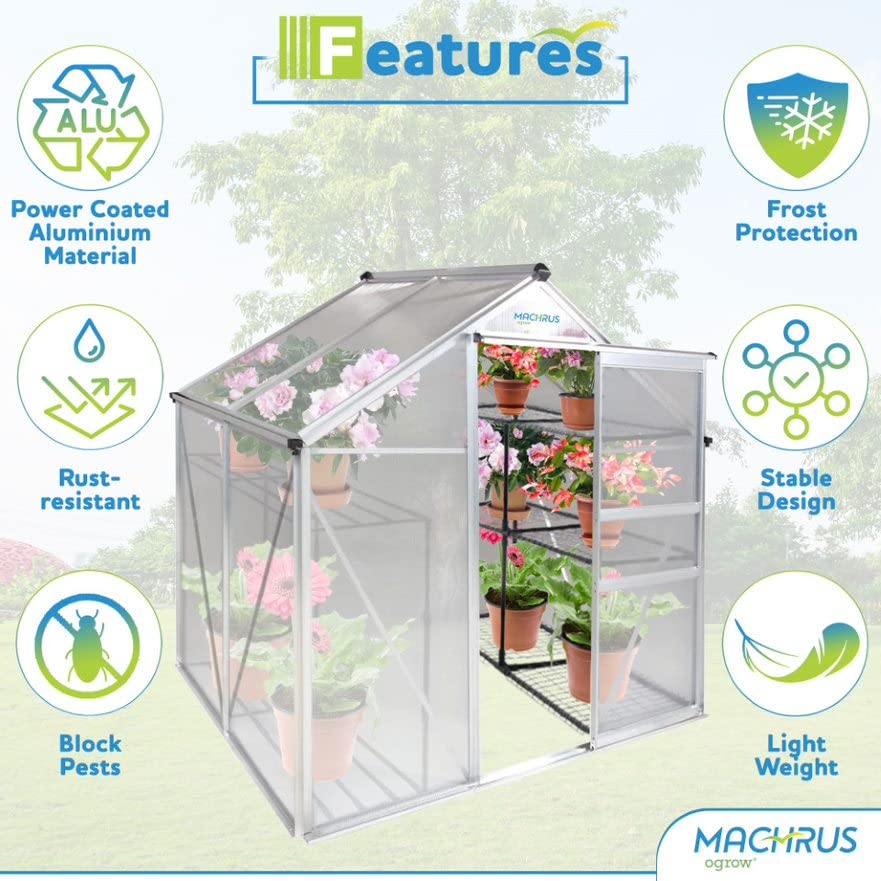 Machrus OGrow Small Greenhouses for Outdoors-Portable Walk in Large Greenhouse Kit for Plants - 4X6 Green Houses for Outside-Polycarbonate Greenhouse Panels with Vent Window, Heavy Duty Aluminum Frame