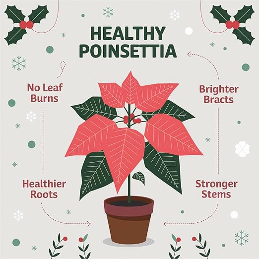 Gardenera Premium Holiday Plant Food Mist - 3-1-2 Liquid Fertilizer Spray for Poinsettias, Christmas Flowers, and Greenery - 8oz