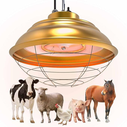 600 Watt Large Range Chicken Coop Heater - Professional Heat Lamp for Chicken, Poultry and Livestock