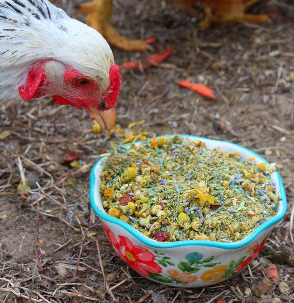 Pampered Chicken Mama Backyard Chicken Nesting Herb Starter Bundle - 7 Different Nesting Herb Blends! (3 lbs Total)