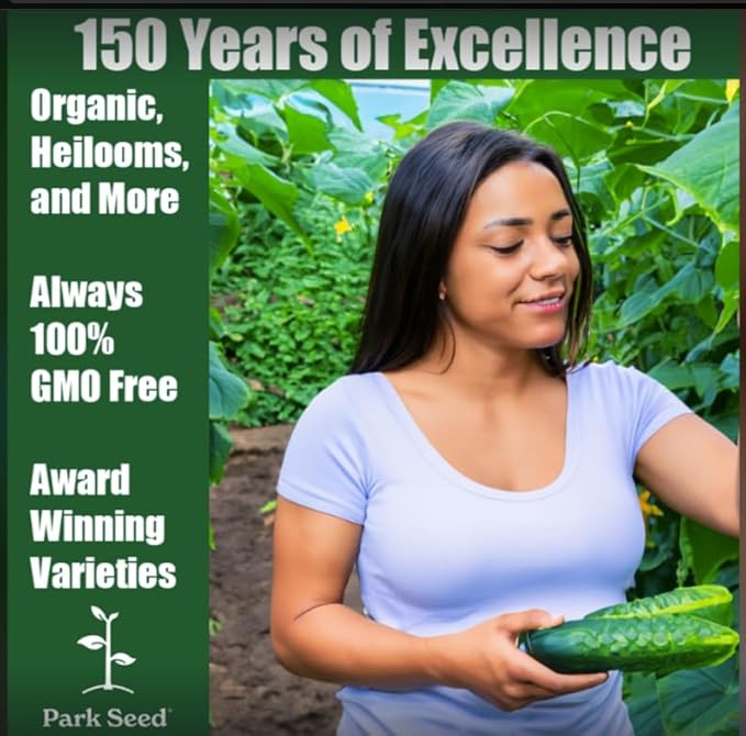 Park Seed Variety of Cucumber Seeds, Planting Cucumbers, Vegetable Seeds, Easy to Grow, Non-GMO, Perfect for Harvesting, Alibi, Pack of 30