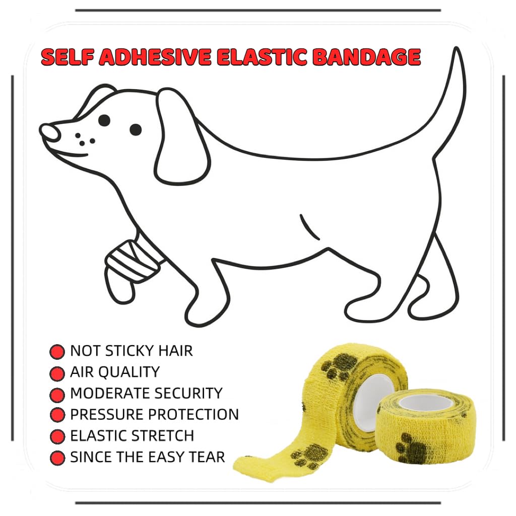 Pet Emergency Kit - Pet First Aid Kit for Dogs and Cats, Dog Camping Essentials, Dog Travel Accessories, Ideal for Home, Travel, Camping, and Hiking