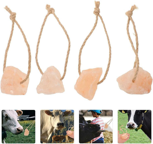Animal Licking Salt Blocks - Pink Salt for Horses Cattle Deer and Other Livestock - 6 Pack