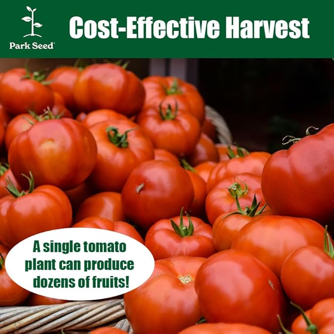 Park Seed Variety of Tomato Seeds, Planting Vegetables, Easy to Grow, Non-GMO, Perfect for Harvesting, Costoluto Genovese, Pack of 30