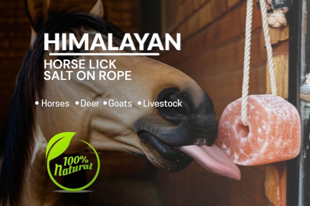 Generic Himalayan Natural Lick Salt 6 lbs on Rope for Horse, Cattle, Deer, Cows and Goats., 1 Count (Pack of 1)