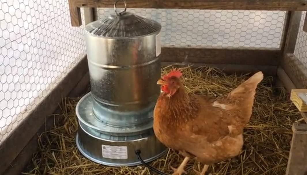 H&G lifestyles Chicken Water Heater Base for Chicken Waterer Poultry Drinker Heated Water Stainless Steel Heater for Winter Deicer Poultry Care