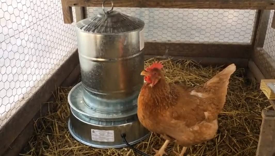 H&G lifestyles Chicken Water Heater Base for Chicken Waterer Poultry Drinker Heated Water Stainless Steel Heater for Winter Deicer Poultry Care