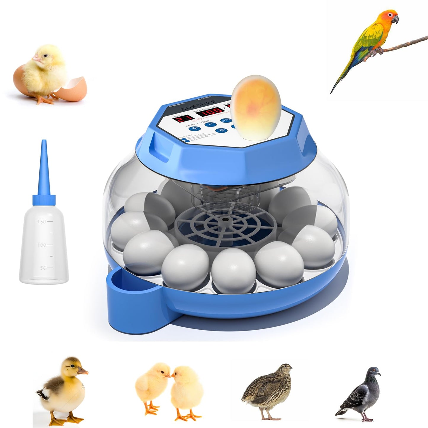 Incubator for Hatching Eggs12-24 Egg Capacity, Automatic Egg Turner, Temperature & Humidity Control, 360° Viewing for Chicken, Duck and Quail Eggs, Birds (Built-in Candler & Quiet Design)